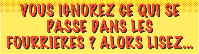vOUS IGNOREZ CE QUI sE PASSE DANS LES FOURRIeRES ? ALORS LISEZ...